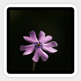 little purple violett Flower Sticker